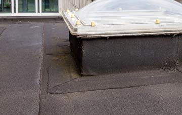 disadvantages of Skelbo Muir flat roofs