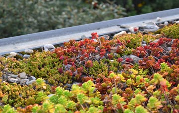 the cost of Skelbo Muir green roof installation