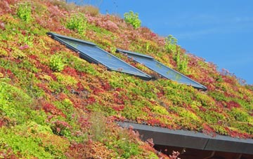 Skelbo Muir living roof systems