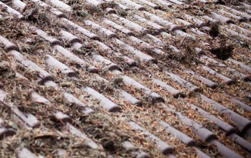 Skelbo Muir roof cleaning companies