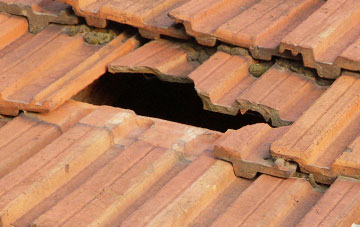 roof repair Skelbo Muir, Highland