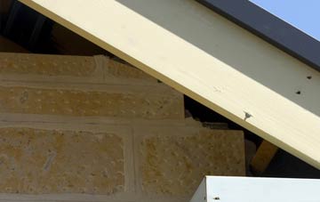soffit repair Skelbo Muir