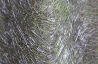 Skelbo Muir fibreglass roof work