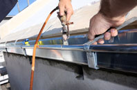 free Skelbo Muir fascia quotes